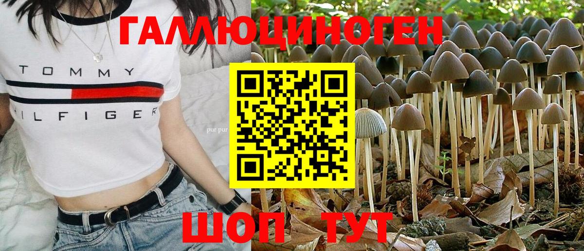 где купить наркотик  Галлюциногенные грибы мухоморы  Вход с VPN  Симферополь 