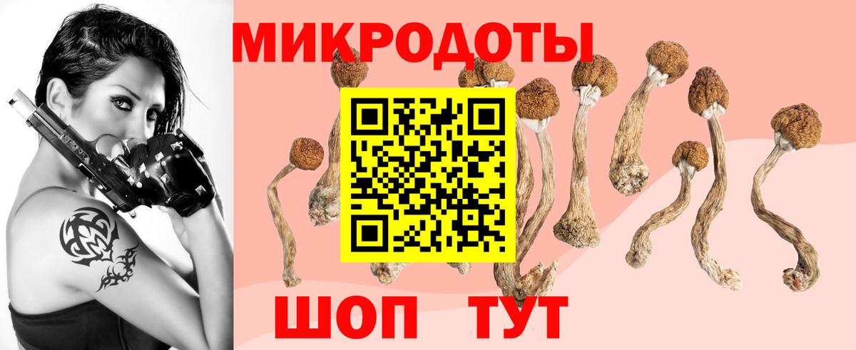Псилоцибиновые грибы Psilocybine cubensis Симферополь